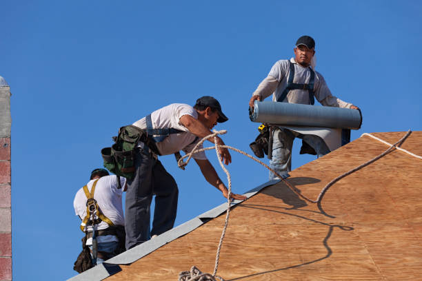 Best Metal Roofing Contractor  in Lifornia City, CA